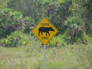 Wild animal crossing.  Not to be confused with a Gibnut, the Tapir should not be stewed.